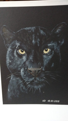 Комментарий с изображением на AdMe.Media