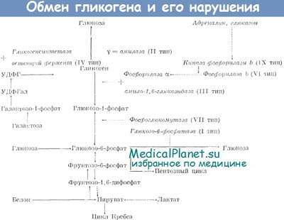 Комментарий с изображением на AdMe.Media