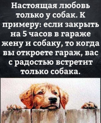 Комментарий с изображением на AdMe.Media