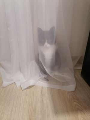 Комментарий с изображением на AdMe.Media