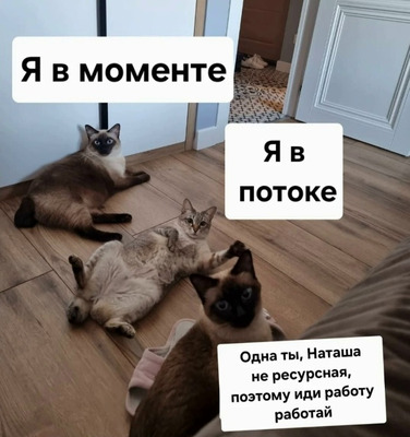 Комментарий с изображением на AdMe.Media