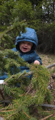 Комментарий с изображением на AdMe.Media