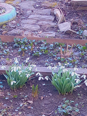 Комментарий с изображением на AdMe.Media