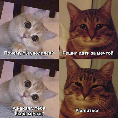 Комментарий с изображением на AdMe.Media