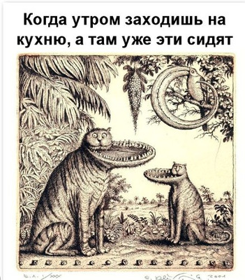 Комментарий с изображением на AdMe.Media