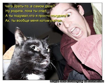 Комментарий с изображением на AdMe.Media