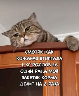 Комментарий с изображением на AdMe.Media