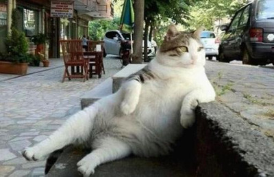 Комментарий с изображением на AdMe.Media