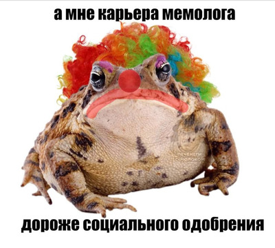 Комментарий с изображением на AdMe.Media
