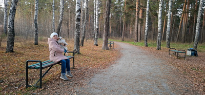 Комментарий с изображением на AdMe.Media