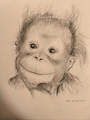 Комментарий с изображением на AdMe.Media