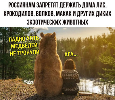 Комментарий с изображением на AdMe.Media