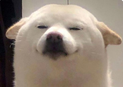 Комментарий с изображением на AdMe.Media