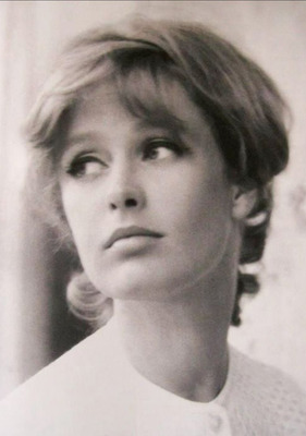 Комментарий с изображением на AdMe.Media