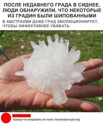 Комментарий с изображением на AdMe.Media