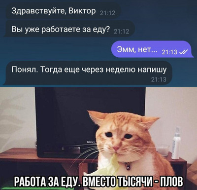 Комментарий с изображением на AdMe.Media