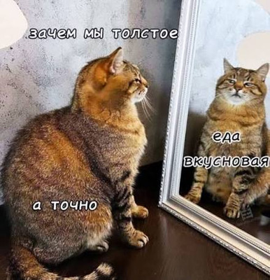 Комментарий с изображением на AdMe.Media