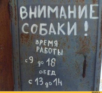 Комментарий с изображением на AdMe.Media