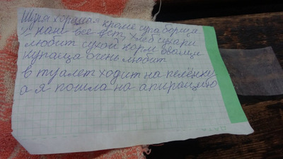 Комментарий с изображением на AdMe.Media