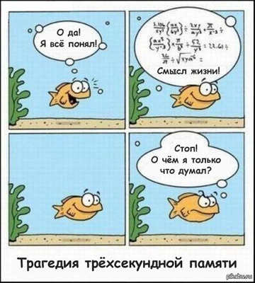 Комментарий с изображением на AdMe.Media
