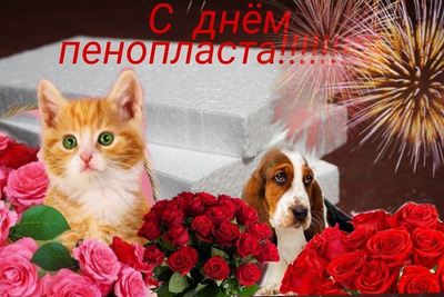 Комментарий с изображением на AdMe.Media