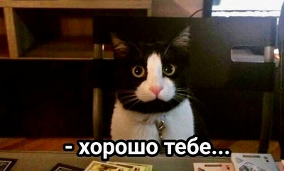 Комментарий с изображением на AdMe.Media