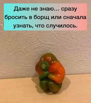 Комментарий с изображением на AdMe.Media