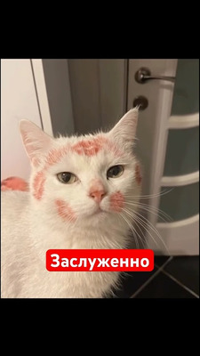 Комментарий с изображением на AdMe.Media