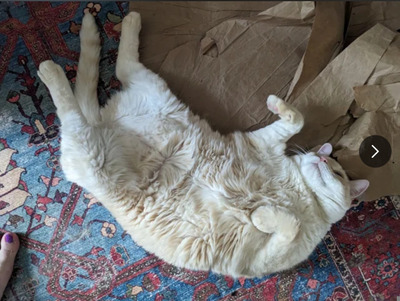 Комментарий с изображением на AdMe.Media