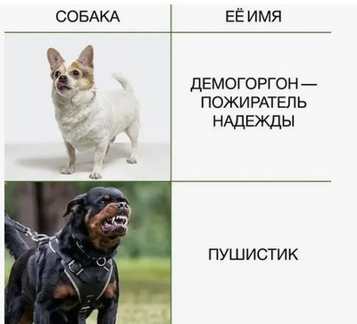 Комментарий с изображением на AdMe.Media