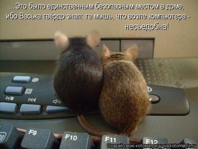 Комментарий с изображением на AdMe.Media