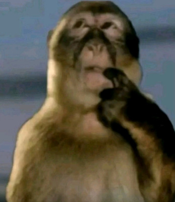 Комментарий с изображением на AdMe.Media