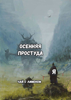 Комментарий с изображением на AdMe.Media