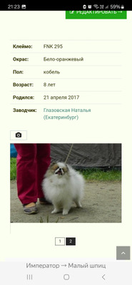Комментарий с изображением на AdMe.Media