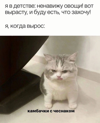 Комментарий с изображением на AdMe.Media
