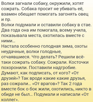 Комментарий с изображением на AdMe.Media