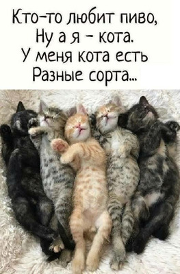 Комментарий с изображением на AdMe.Media