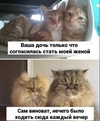Комментарий с изображением на AdMe.Media
