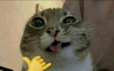 Комментарий с изображением на AdMe.Media