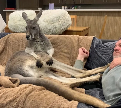 Комментарий с изображением на AdMe.Media