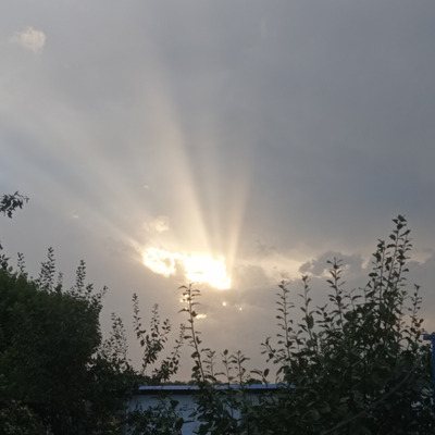 Комментарий с изображением на AdMe.Media