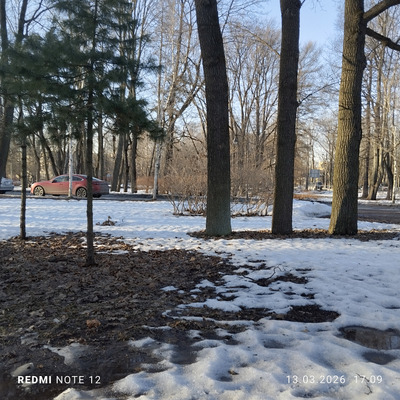 Комментарий с изображением на AdMe.Media