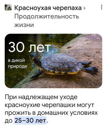 Комментарий с изображением на AdMe.Media