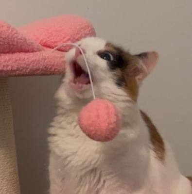 Комментарий с изображением на AdMe.Media