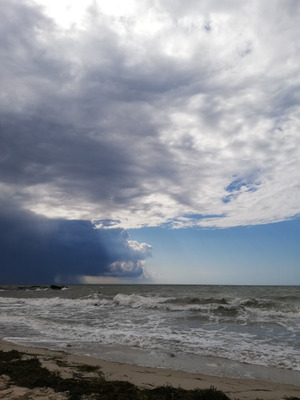 Комментарий с изображением на AdMe.Media