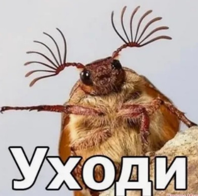 Комментарий с изображением на AdMe.Media