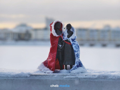 Комментарий с изображением на AdMe.Media