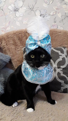 Комментарий с изображением на AdMe.Media