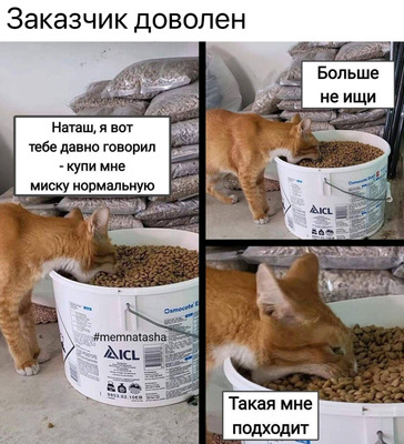 Комментарий с изображением на AdMe.Media