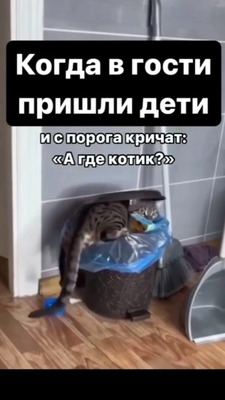Комментарий с изображением на AdMe.Media